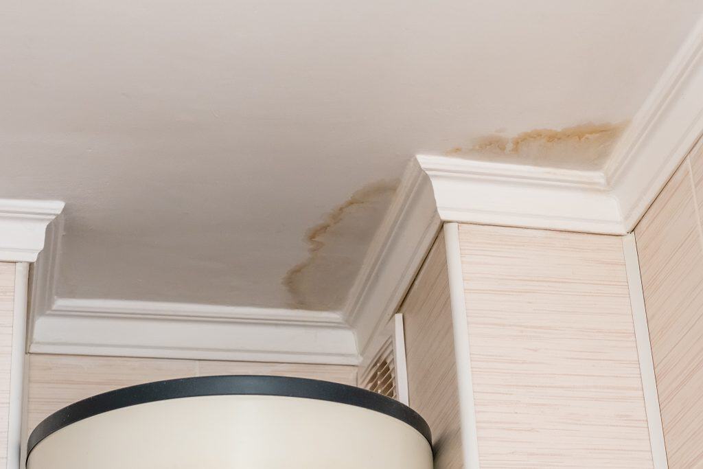 Water stain on painted ceiling in Somerset West home caused by roof leak or damp